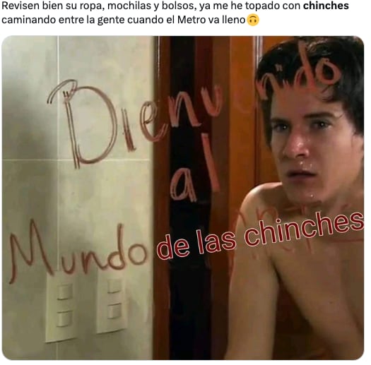 Plaga de chinches de la UNAM en CDMX desata los memes ansiosos de usuarios