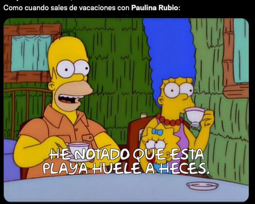 Memes de Paulina Rubio 'defecando' en la playa.