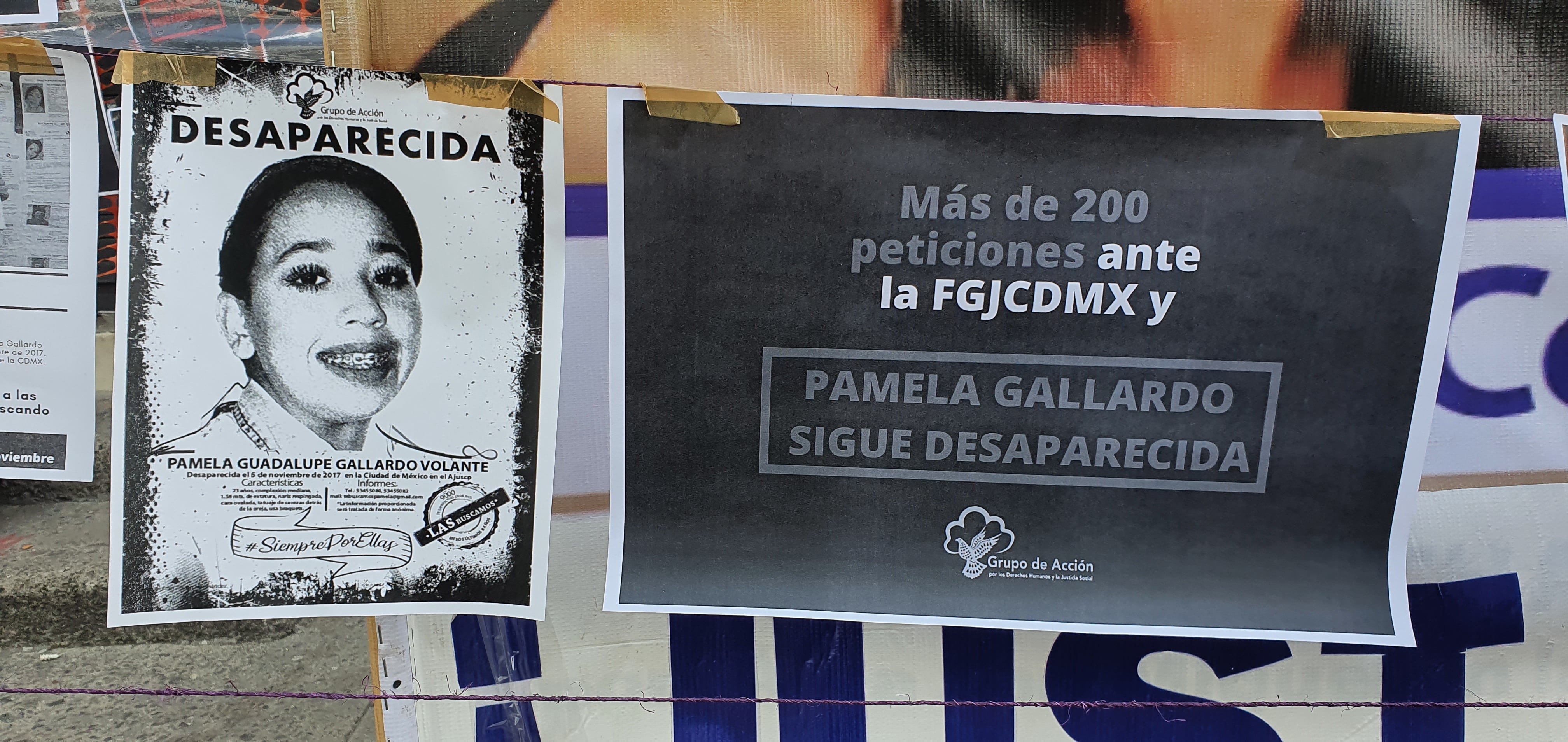 Protesta por Pamela Gallardo Volante