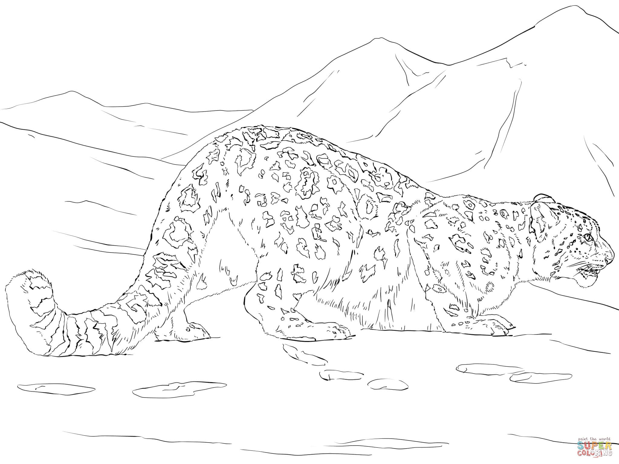 Dibujo Día Internacional del leopardo de la nieve