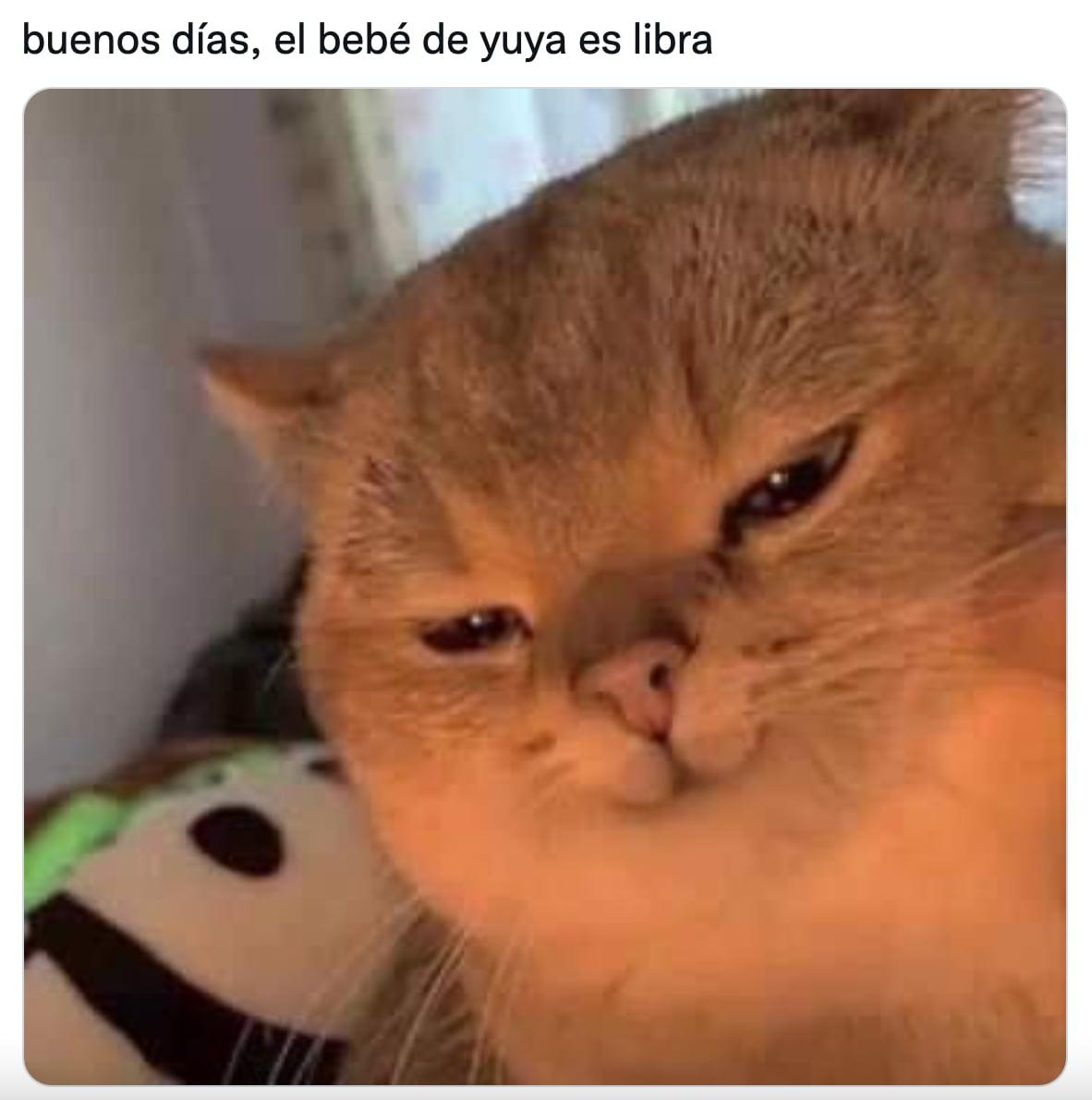 Meme sobre el bebé de Yuya