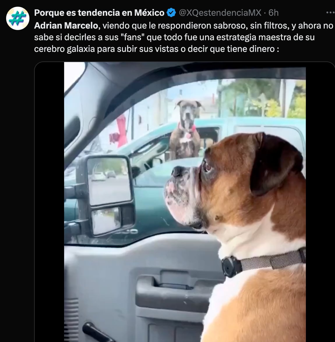Memes reaccionan a la humillación de Adrián Marcelo