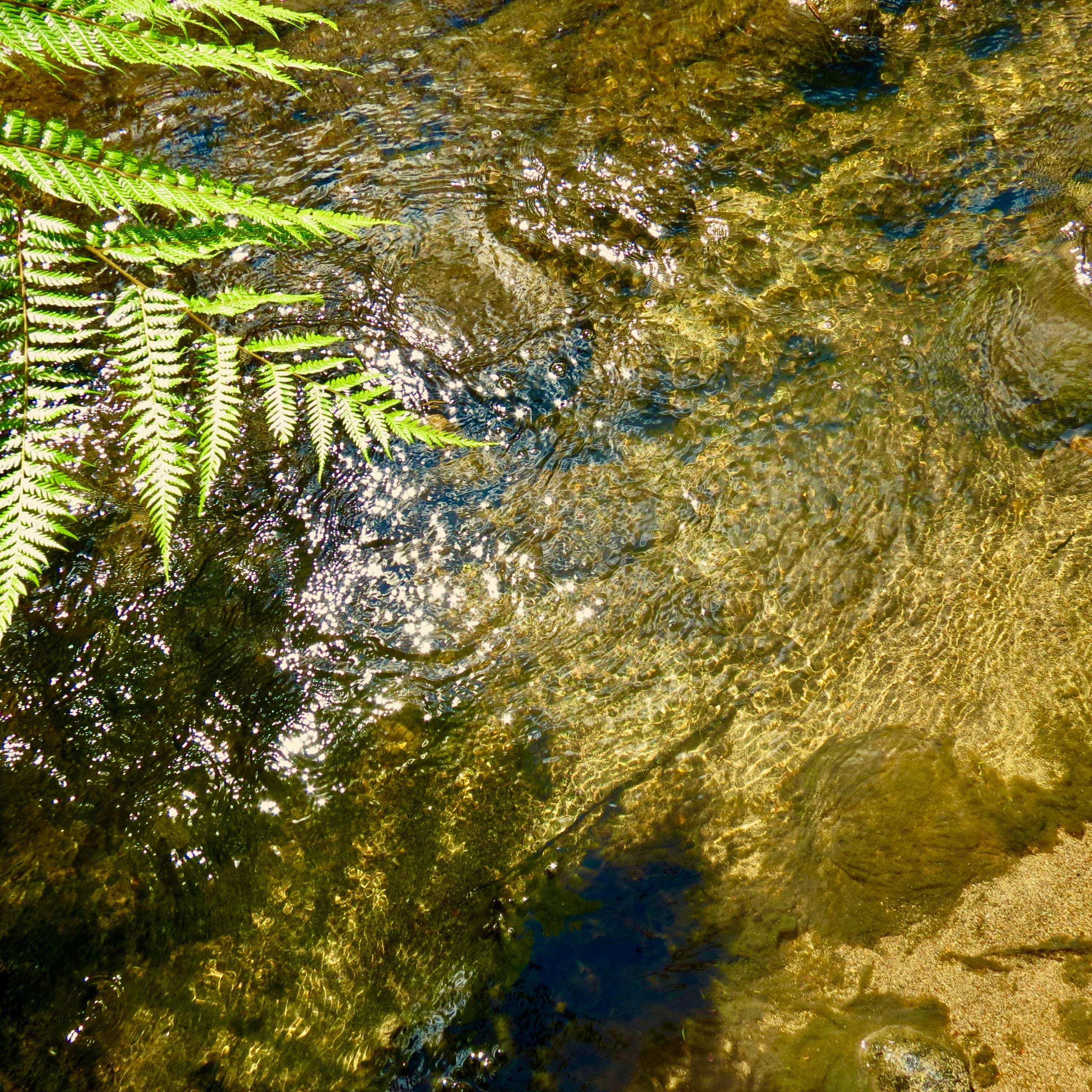 Agua dulce