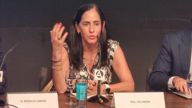 Lía Limón denuncia que hubo una “elección de Estado”