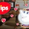 Tetera de la Bella y la Bestia en Vips: Precio y cómo comprar a la Señora Potts coleccionable