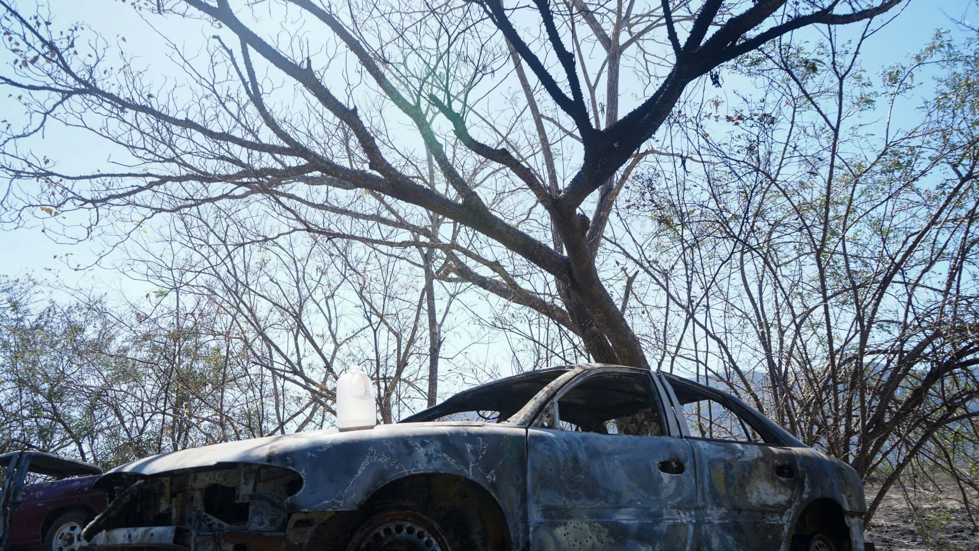 Explosión en Coahuayana deja 6 muertos y varios heridos, confirman autoridades