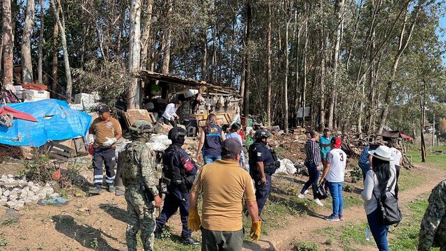Rescate de perros maltratados en Valle de Bravo