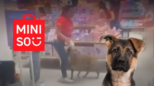 Entró a Miniso, mordió un peluche y todos decidieron regalárselo