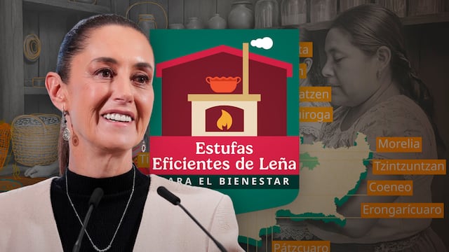 Estufas de Leña del Bienestar