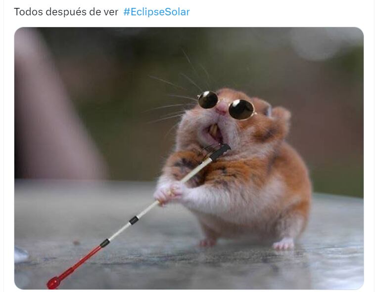 Memes del eclipse solar 2023