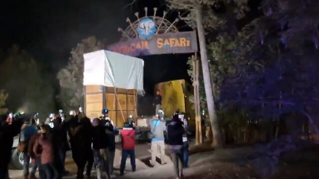 Jirafa Benito llega a Africam Safari