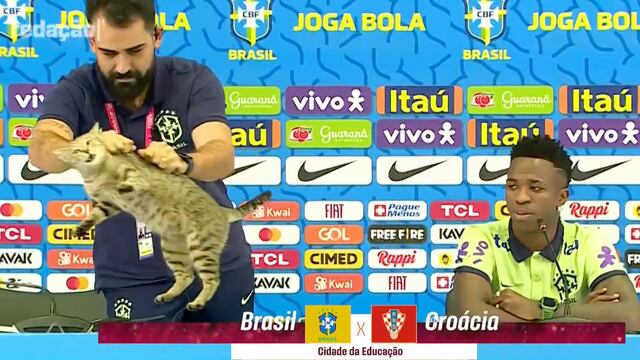 Gato conferencia Vinícius