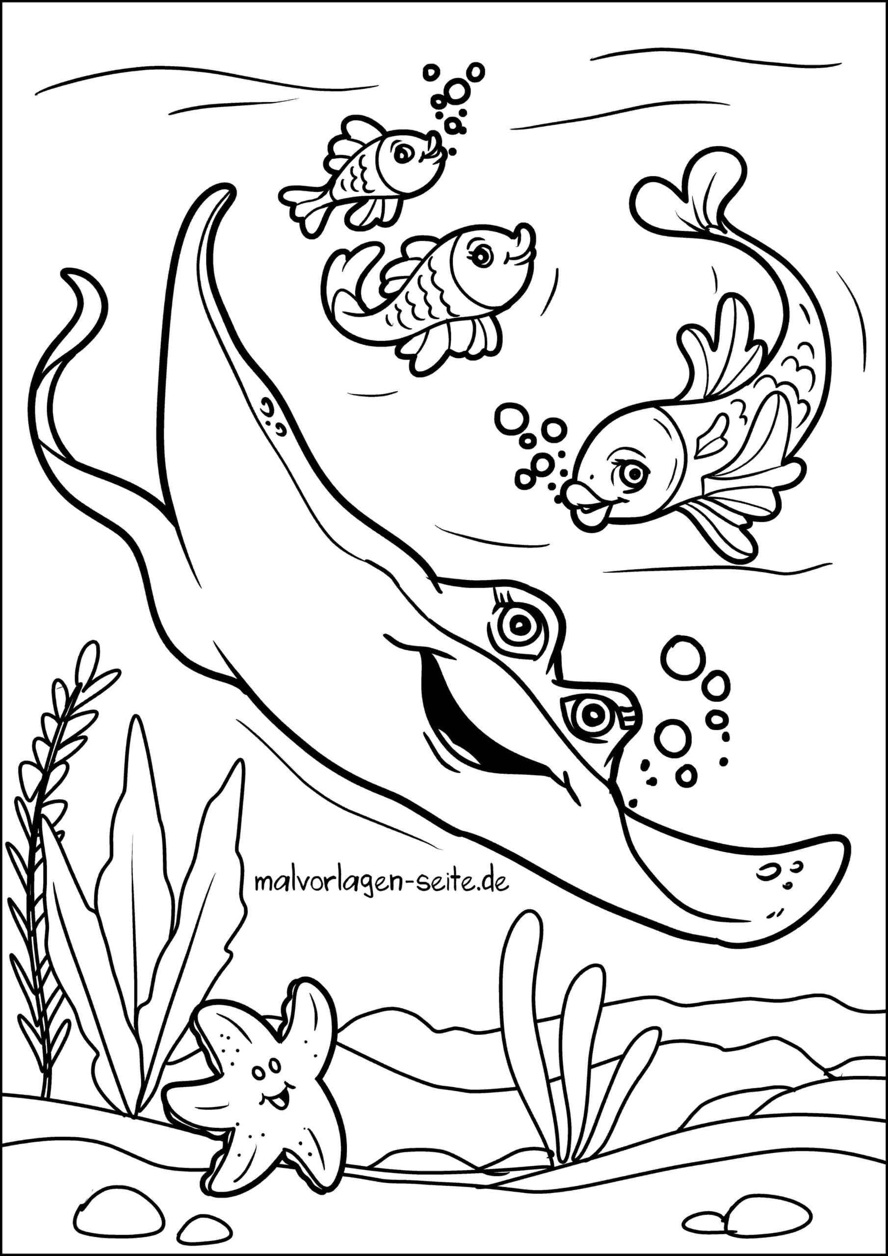 Día de la Mantarraya