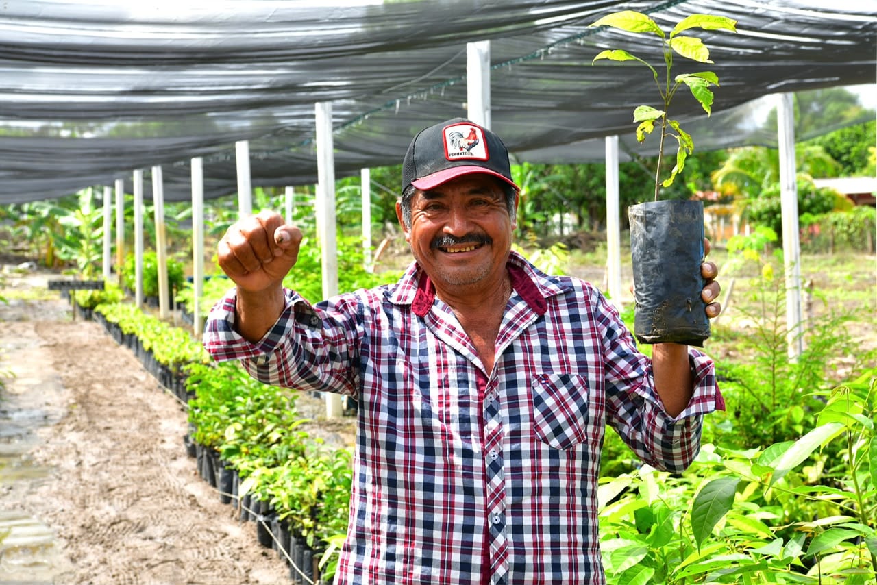 Tabasco instalará 100 módulos para mejorar el precio del cacao