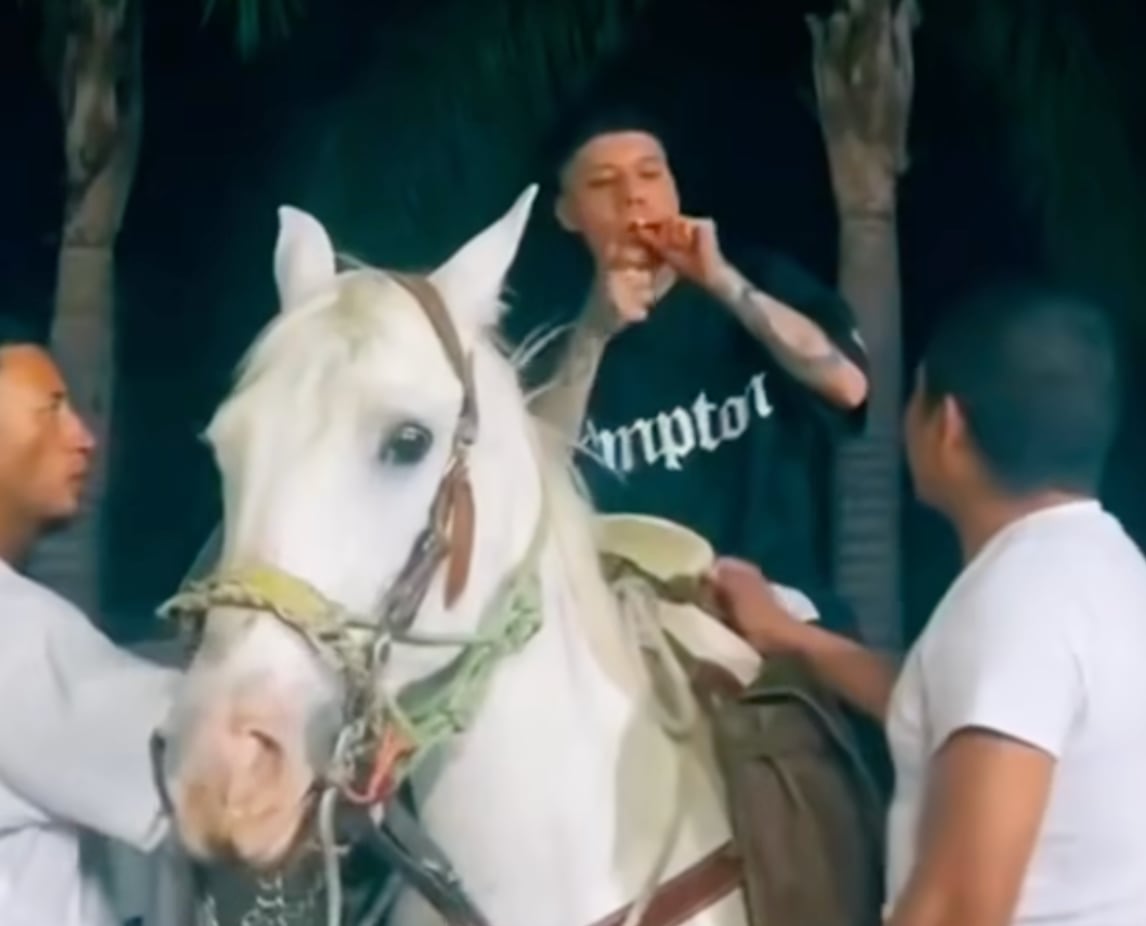 Santa Fe Klan se llevó un gran susto por un caballo desbocado