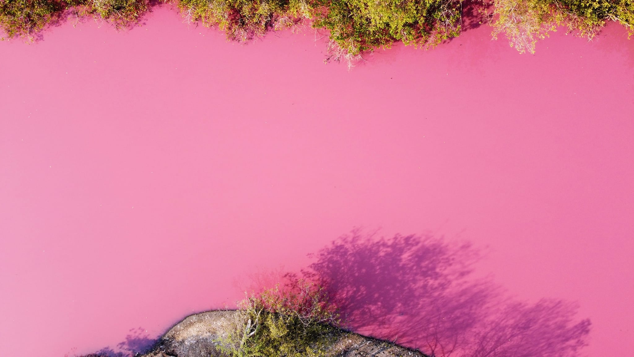 La laguna "La Salina" se pinta de rosa en Oaxaca/Esau Zavaleta MX