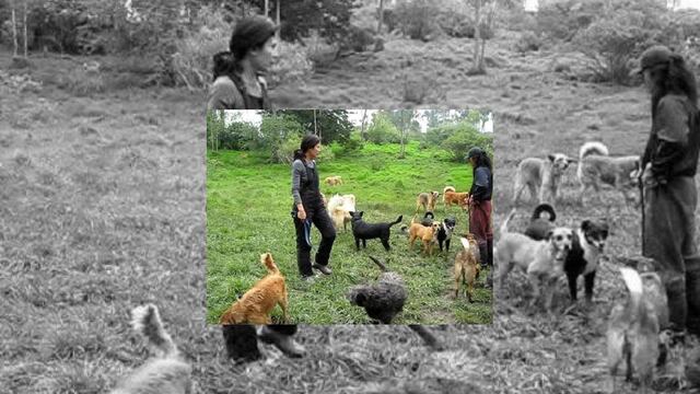 Refugio Franciscano levantará suspensión de actividades