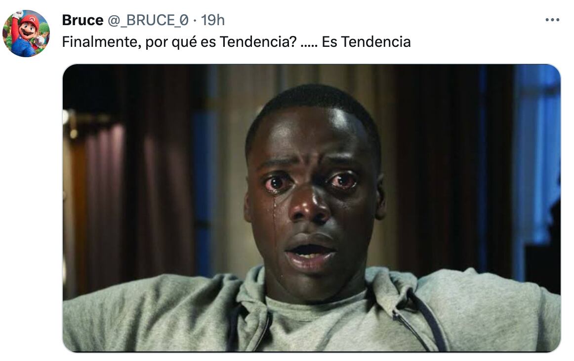 Shrek 1 y 2 en ¿Por qué es tendencia?