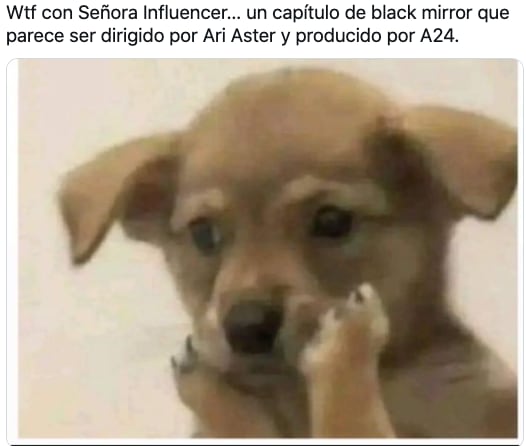 Memes de la película Señora Influencer aseguran que es cine