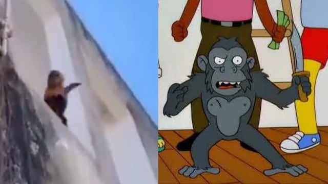 Mono con cuchillo en Brasil