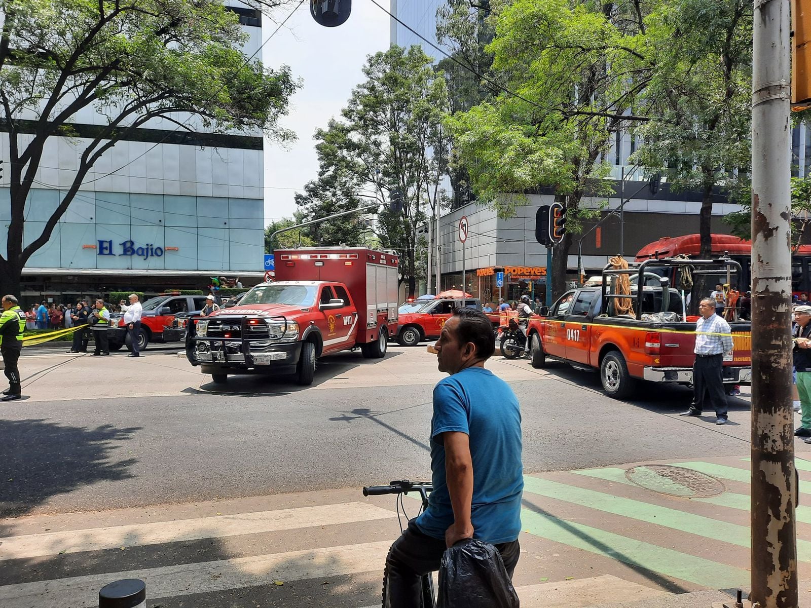 Se salvó de milagro: Árbol de Insurgentes y Georgia en la Nápoles aplastó su carro