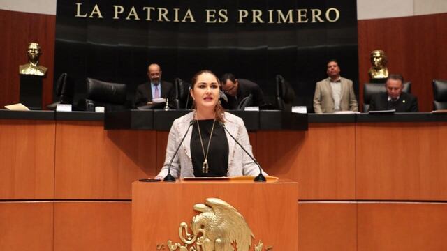 Geovanna Bañuelos de la Torre, coordinadora parlamentaria del PT.