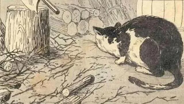 ¿Dónde está el ratón?, test de agilidad mental