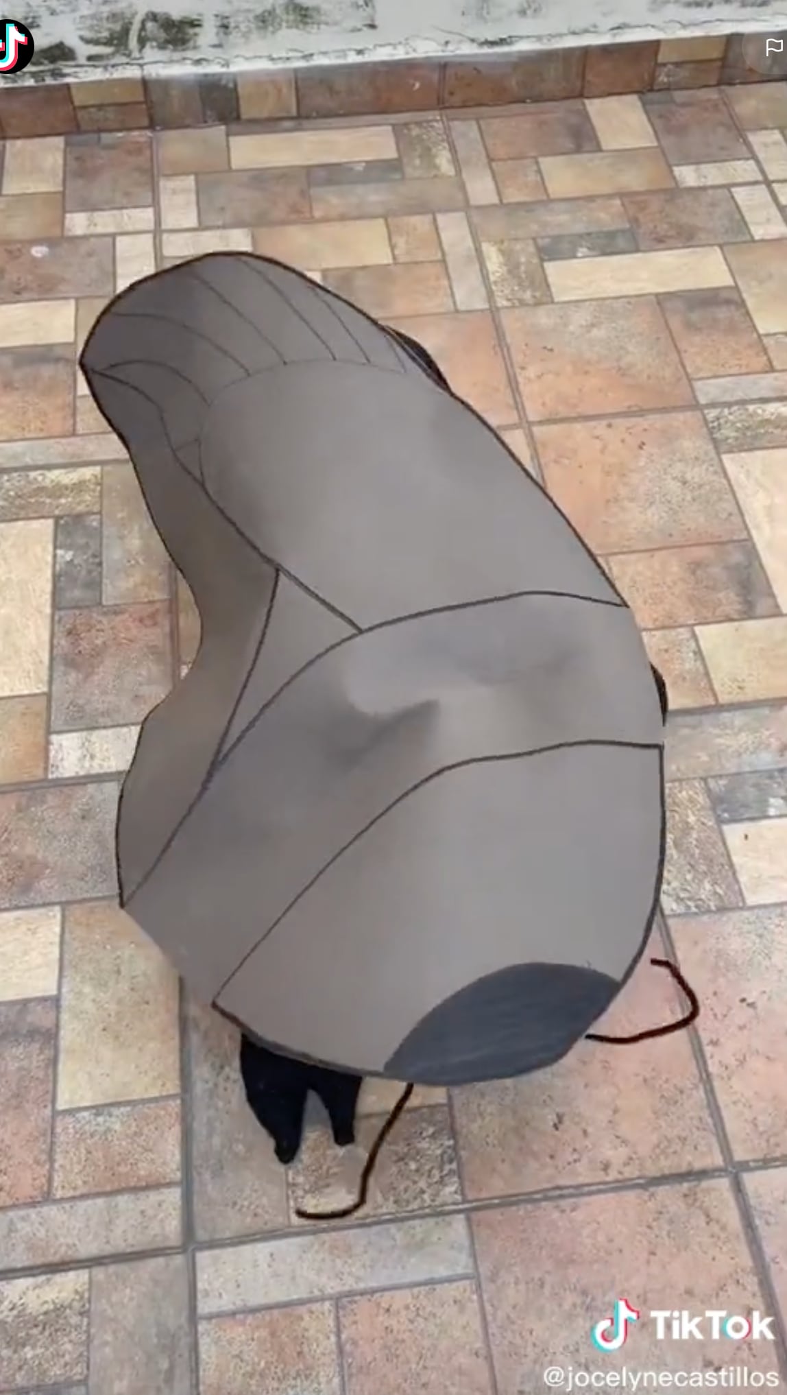 TikTok: Niño pide disfraz de cucaracha, mamá se lo cumple