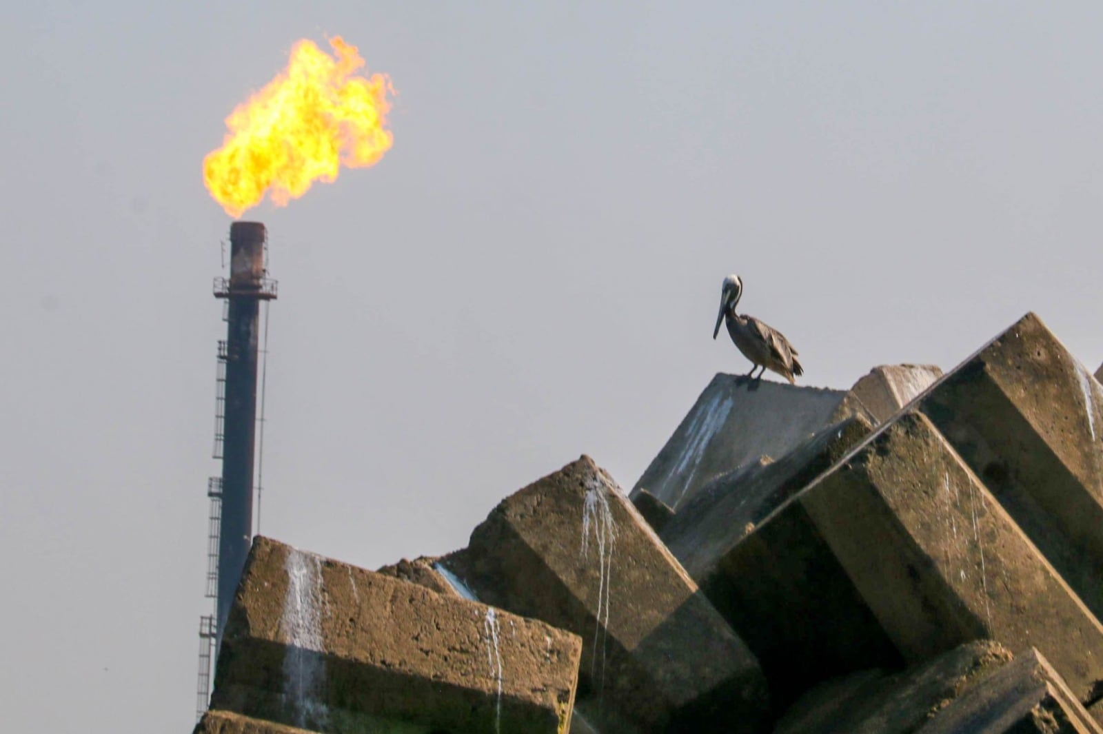Pemex ofrece combustible por un año a pescadores afectados por derrame de crudo en Paraíso, Tabasco