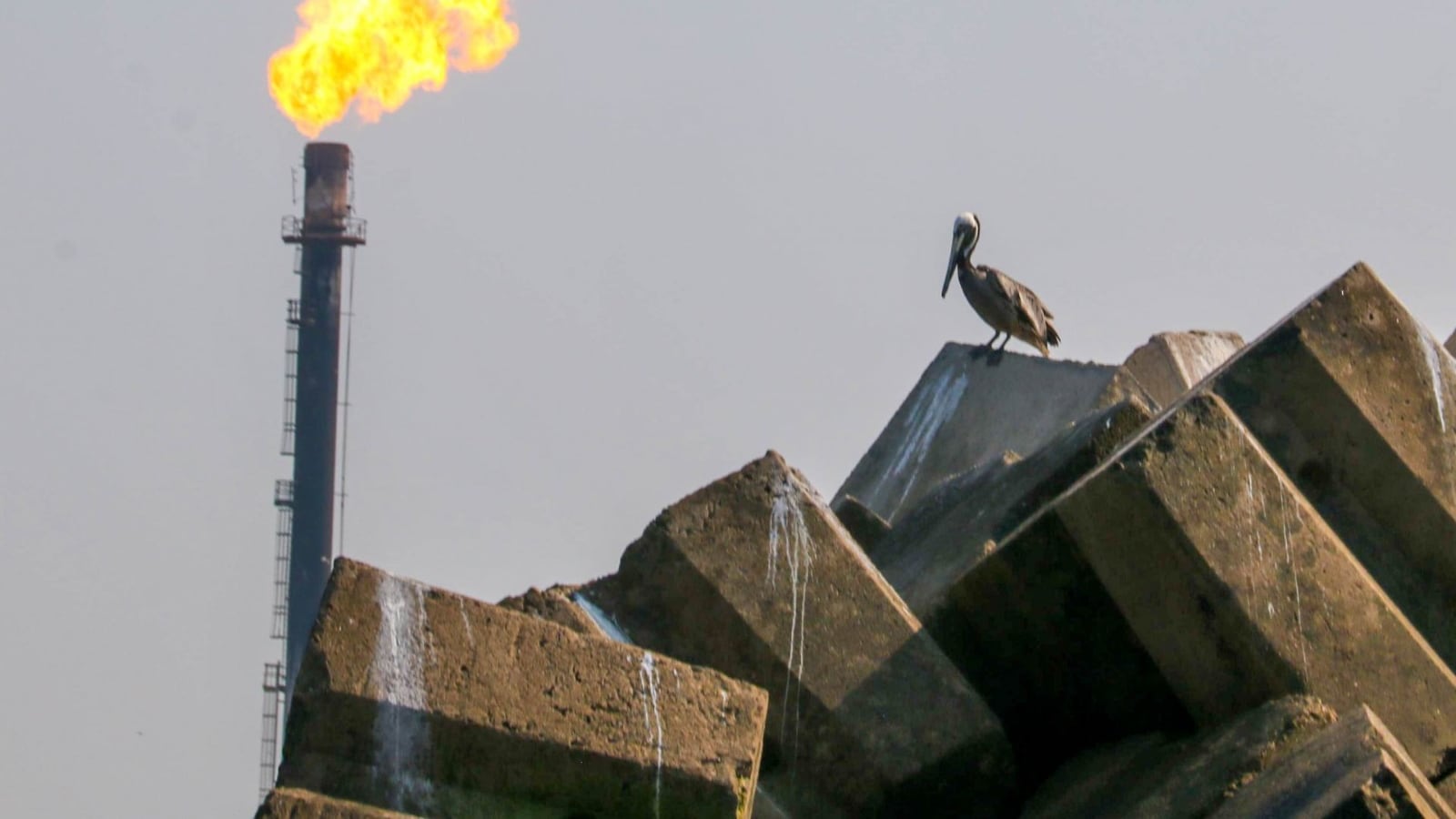 Soltar a Pemex