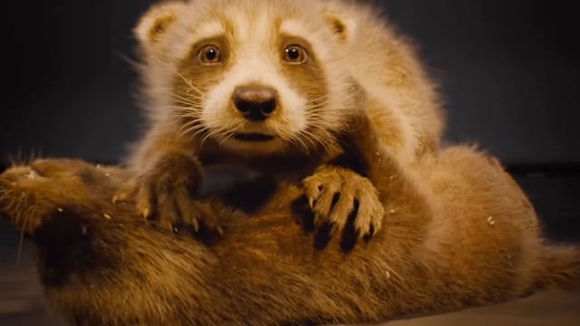 Rocket Raccoon bebé en Guardianes de la Galaxia 3