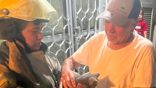Torreón suma 222 rescates de animales durante 2026: Protección Civil.