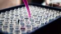 Hackers han intentado robar secretos sobre vacunas del coronavirus: The Guardian