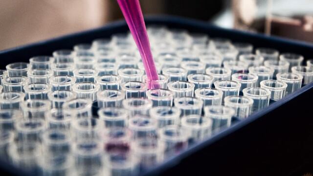 Desarrollo de la vacuna