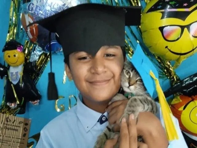 Gatita se gradua de clases virtuales