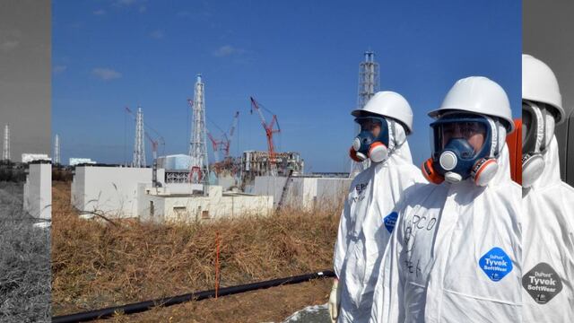 Un trabajador de la planta tiene leucemia, y el gobierno pudo determinar que la causa de su enfermedad fue la exposición a radioactividad tras el tsunami de 2011.