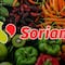 Martes y Miércoles del Campo Soriana 19 y 20 de agosto 2025: Las mejores ofertas