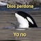 Los memes de Gladys, la orca asesina traumatizada, conquistan Internet por una siniestra razón