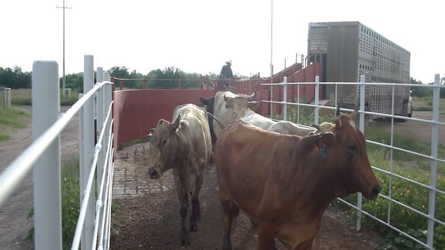 UGRS inicia modernización histórica con inversión de 470 mdp para fortalecer al sector ganadero de Sonora