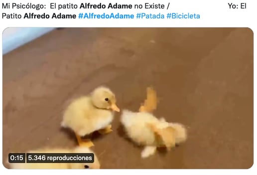 Memes de Alfredo Adame y su nueva golpiza