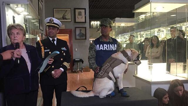 En su carrera, Frida ha salvado a 53 personas.