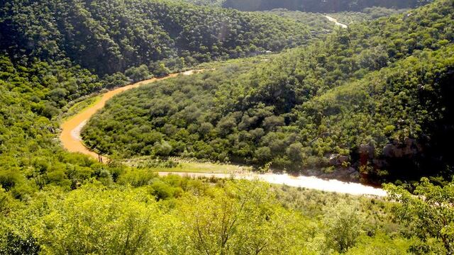 El 6 de agosto la mina Buenavista del Cobre derramó 40 mil metros cúbicos de ácido sulfúrico al río Sonora y su afluente Bacanuchi. Foto/Cuartoscuro