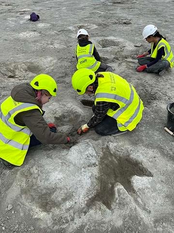 Autopista de 166 millones de años de antigüedad llena de huellas de dinosaurio