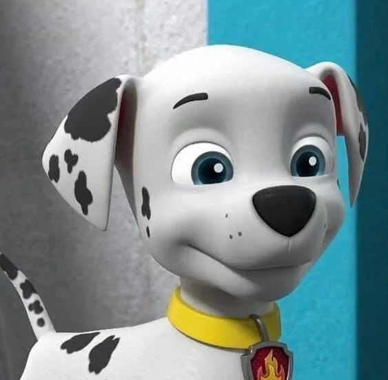 Marshall de Paw Patrol es un dálmata