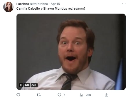 Memes porque Camila Cabello y Shawn Mendes regresaron
