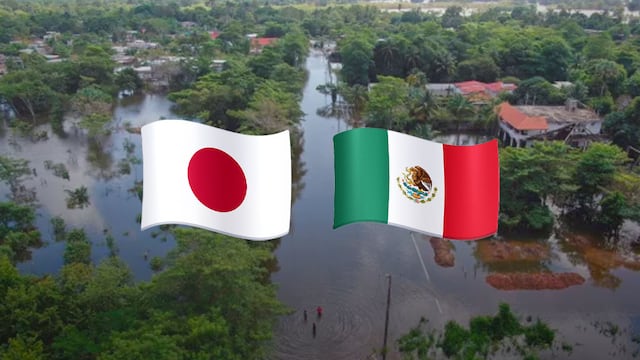Japón anuncia ayuda de emergencia a México por inundaciones