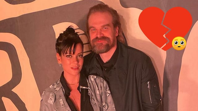 Lily Allen y David Harbour se divorcian y ella entra en una clínica.