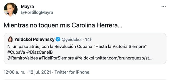 Críticas a Yeidckol Polevnsky