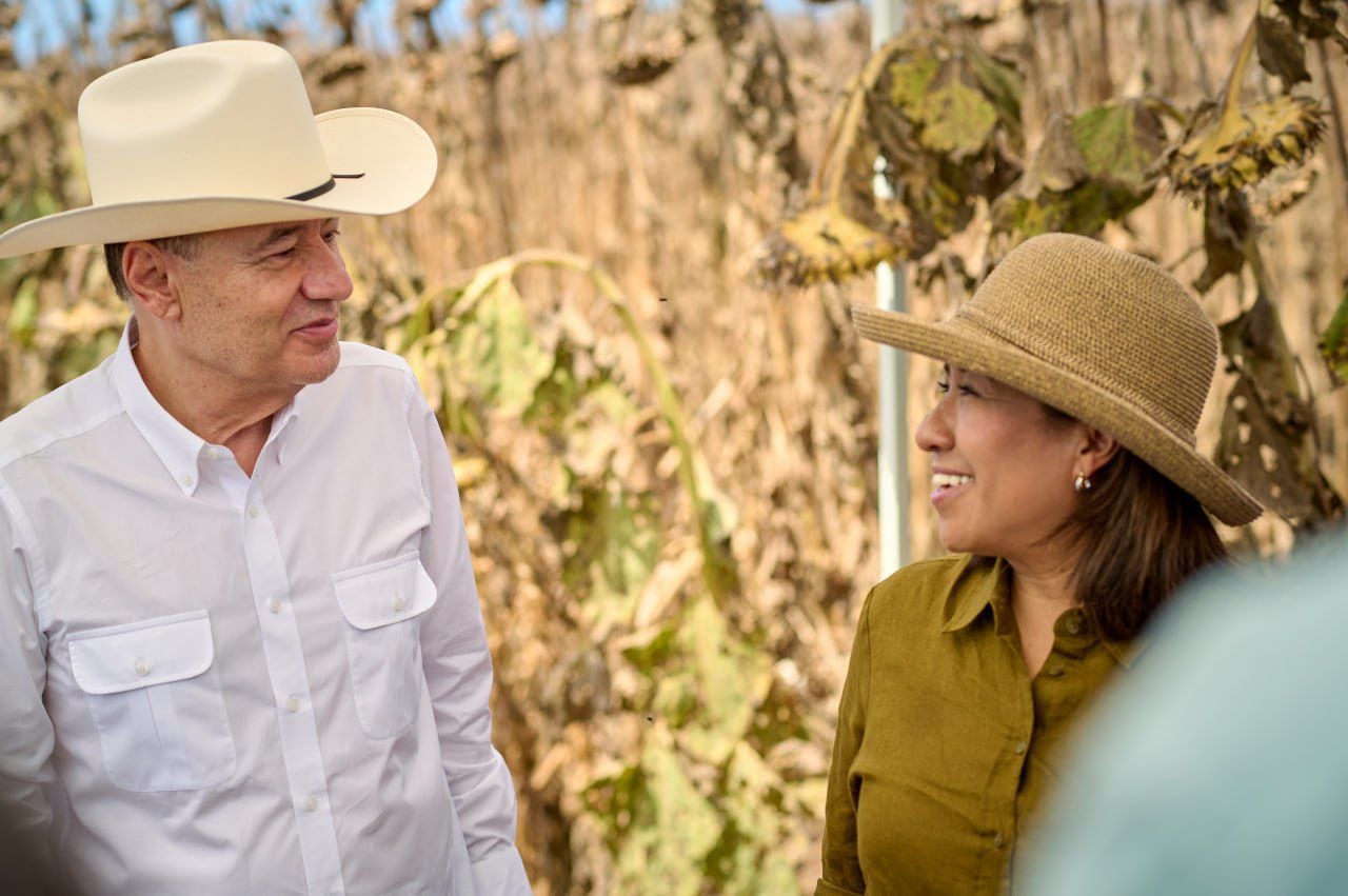 Reconversión de cultivos en Sonora avanza con más de 32 mil hectáreas