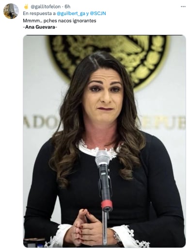 Memes de Ana Gabriela Guevara